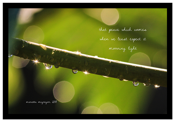 'that peace that come / when we least expect it / morning light' by Marietta McGregor 