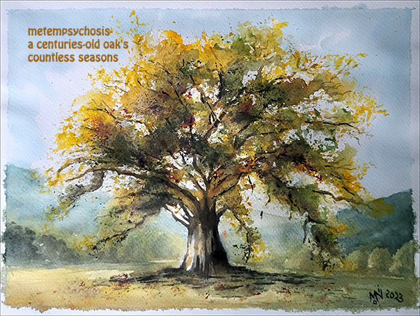 'metempsychosis— / a centruries-old oak's / countless seasons' by Monica Federico