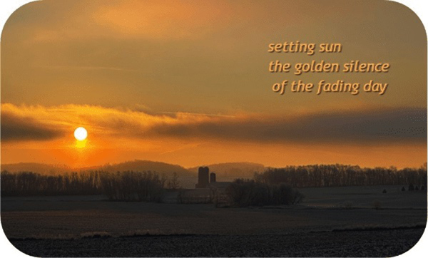 'setting sun / the golden silence / of the fading day' by Vicki Copp.  Haiku first published in Allpoetry Feb 2024