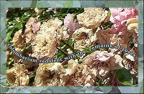 'columbarium redolent with the remains of roses' by Maxianne Berger
