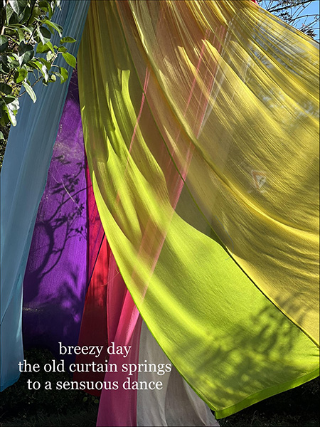 'breezy day / the old curtain springs / to a sensuous dance' by Ranu Jain