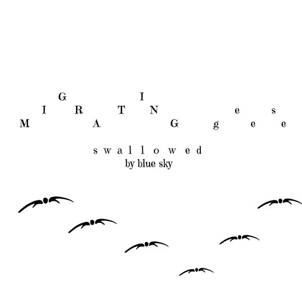 'migrating geese / swallowed  / by blue sky' by Bonnie Scherer