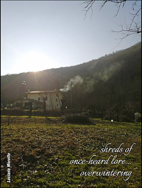 'shreds of / once-heard lore... /  overwintering' by Luciana Moretto