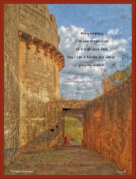 'being wealthy / i've the protection / of a high-tech fort /  but i can't handle the weeds /   growing within' by Sreenath Mysore   