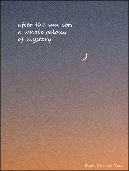 'after the sun sets / a whole galaxy / of mystery' by Dian Reed