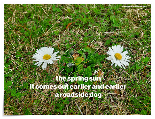 'the spring sun / it comes out earlier and earlier / a roadside dog' by Wieslaw Karlinsksi
