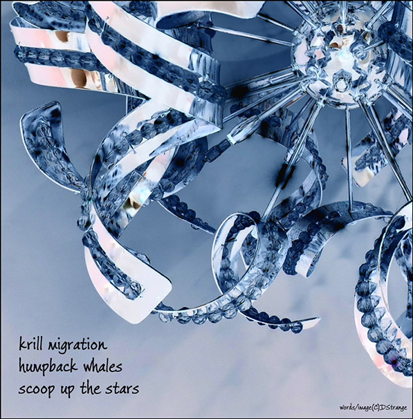 'krill migration / humpback whales / scoop up the stars' by Debbie Strange. haiku first published in The Heron's Nest 24.4, 2022