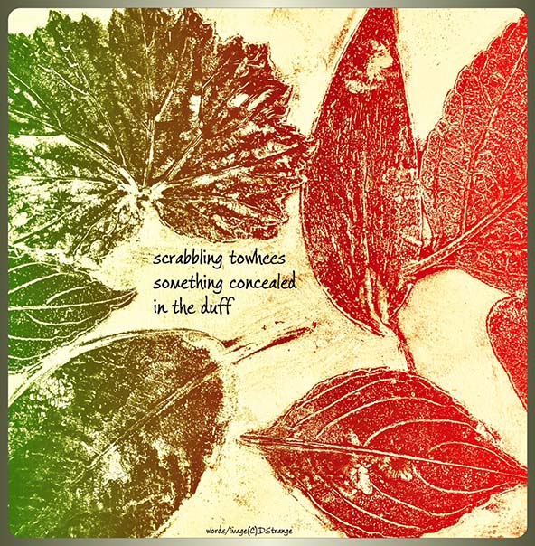 'scrabbling towhees / something concealed / in the duff' by Debbie Strange. Haiku first published in Modern Haiku 55.1, 2024