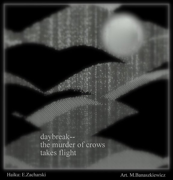 'daybreak— / the murder of crows / takes fight' by Eugeniusz Zacharski.  Art by M Banaskiewicz