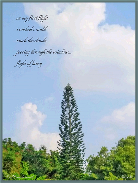 'on my first flight  / i wished i could / touch the clouds / peering through the window... / flight of fancy' by Sreenath Mysore