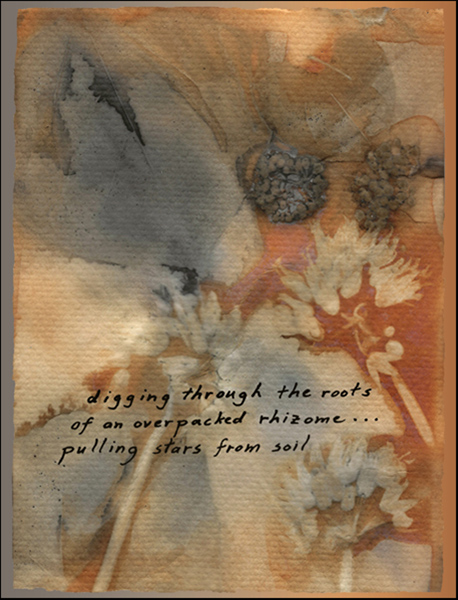 'digging through the roots / of an overpacked rhizome... / pulling stars from the soil' by Mary Catherine Harper