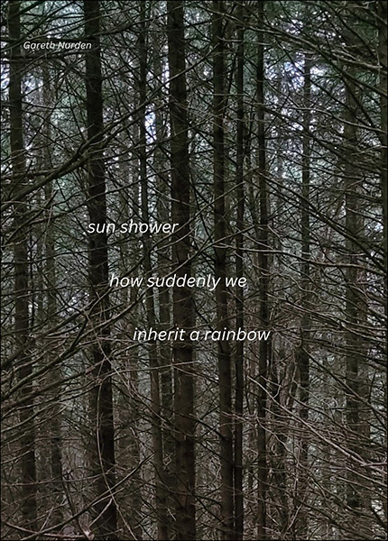 'sun shower / how suddenly we / inherit a rainbow' by Gareth Nurden