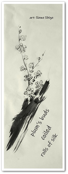 'plum's buds / coiled / rolls of silk' by Slawa Sibiga. Translation by Weronika Sibiga
