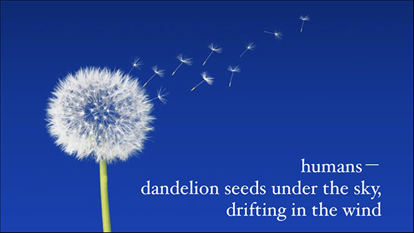 'humans —/dandelion seeds  under the sky / drifting in the wind'  by Shinsaku Ashida. Art by Freepik