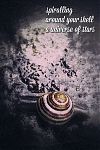 'spiralling / around your shell / a universe of stars' by Melissa Dennison