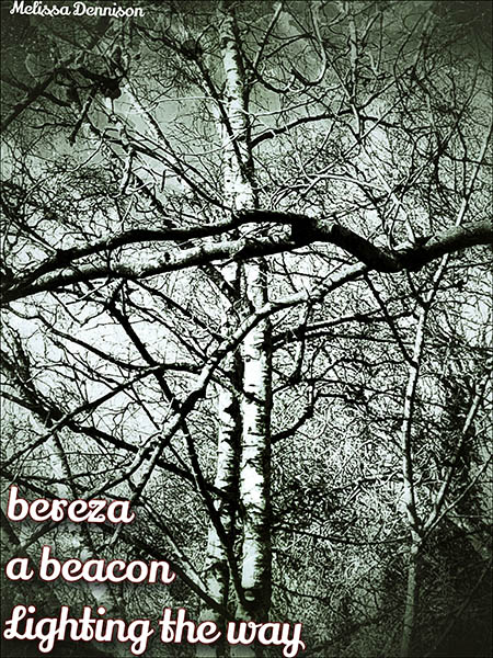 'bereza / a beacon / lighting the way' by Melissa Dennison