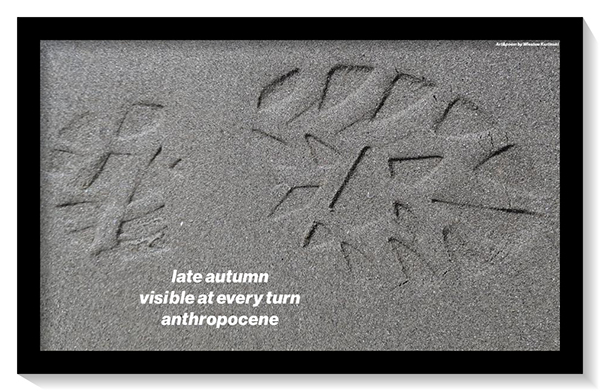 'late autumn / visible at every turn / anthropocene' by Wieslaw Karlinski