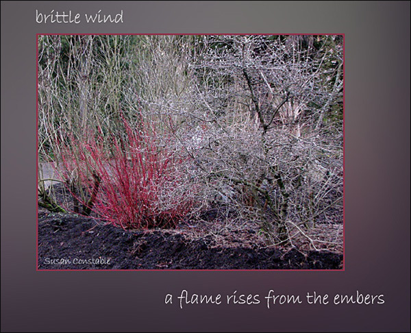 'brittle wind / a flame rises from the embers' by Susan Constable.