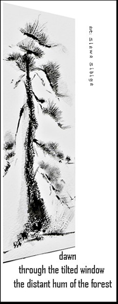 'dawn / through the tilted window / the distant hum of the forest' by Slawa Sibiga. Translation by Maria Tomczak
