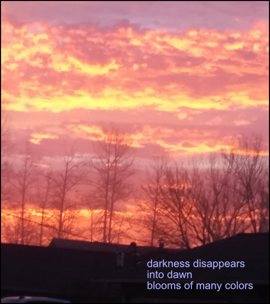 'darkness disappears / into dawn / blooms of many colors' by Susan Roberts