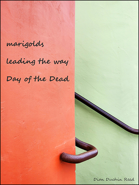 'marigolds / leading the way / day of the dead' by Dian Reed