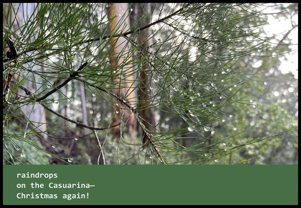 'raindrops / on the casuarina— / christmas again!'' by Fiona Evans