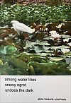 ''among water lilies /   snowy egret / undoes the dark' by Alice Bedard-Voorhees