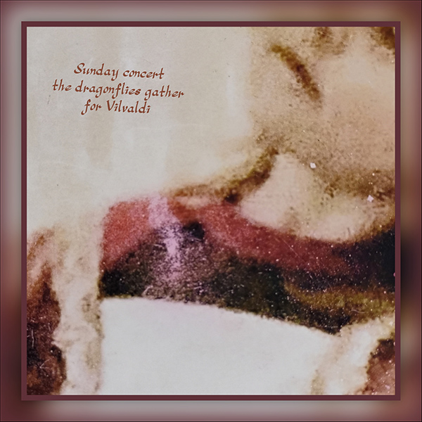'sunday concert / the dragonflies gather / for Vivaldi' by Louise Viera