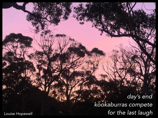 'day's end / kookaburras compete / for the last laugh' by Louise Hopewell
