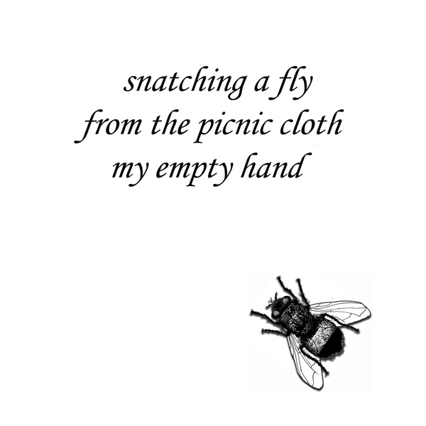 'snatching a fly / from the picnic cloth / my empty hand' by John Hawkhead.