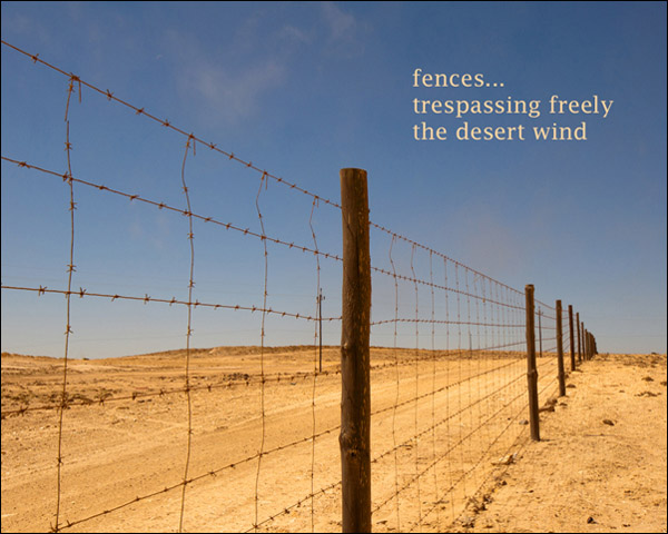 'fences... / trespassing freely / the desert wind' by Victoria Martin