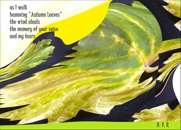 'as i walk / humming 'autumn leaves' / the wind steals / the memory of your voice / and my tears' by Djurdja Rozic