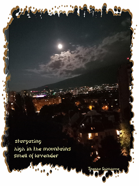 'stargazing / high in the mountains/ smell of lavender' by Tsanka Shishkova