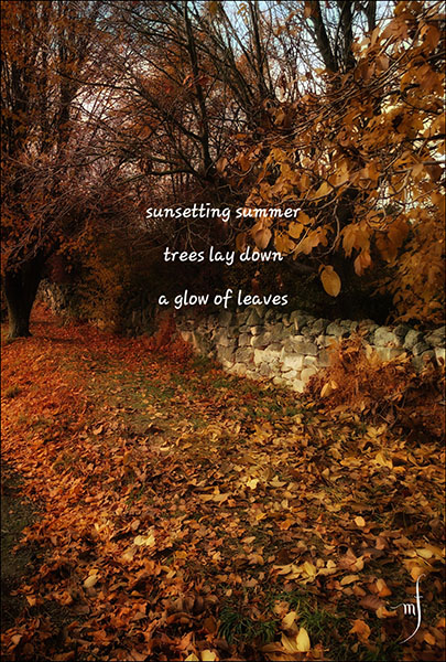 'sunsetting summer  / trees lay down / a glow of leaves' by Michelle Farrell