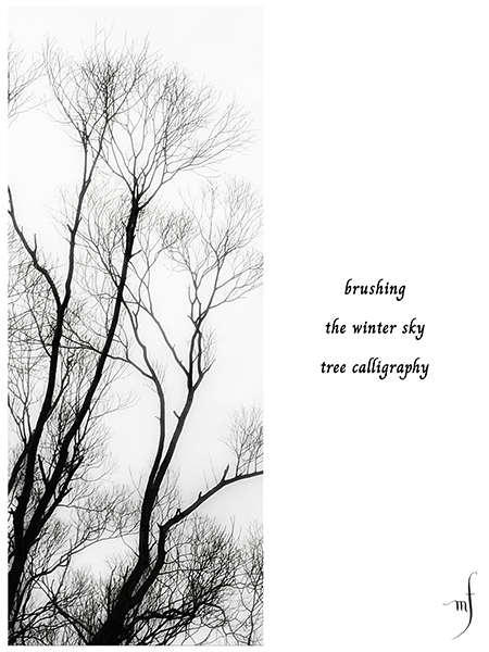 'brushing / the winter sky / tree callligraphy' by Michelle Farrell