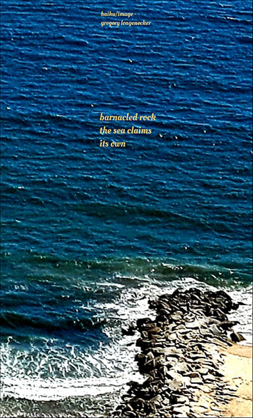 'barnacled rock / the sea claims / its own' by Gregory Longenecker. Haiku first published in Tiny Words 25.1, 2025