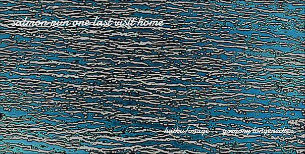 'salmon run one last visit home' by Gregory Longenecker. Haiku first published in Frogpond 48.2 2025