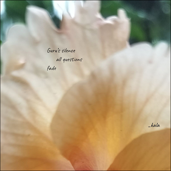 'Guru's silence / all questions / fade' by Kala Ramesh
