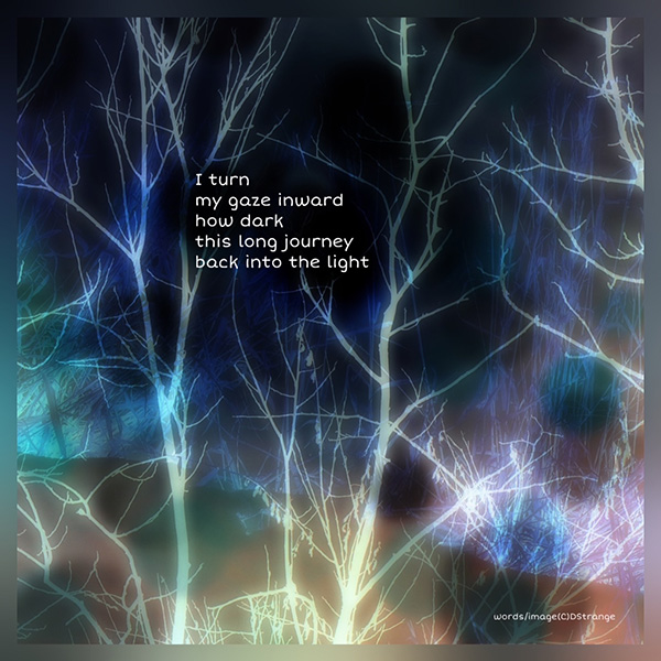 'I turn / my gaze inward / how dark / this long journey / back into the light' by Debbie Strange. Tanka first published in Blithe Spirit 35.2, 2025