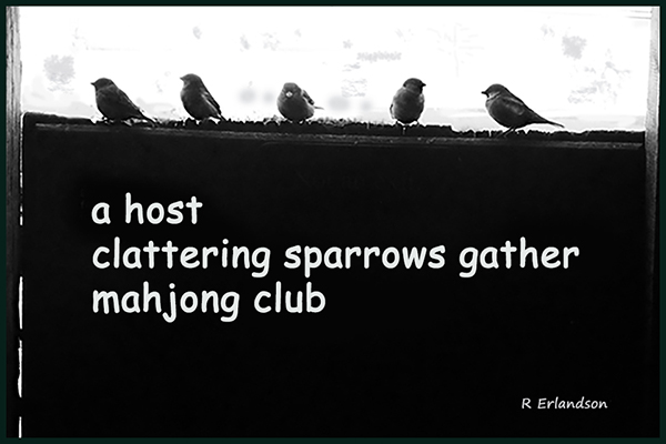 'a host / clattering sparrows gather / mahjong club' by Robert Erlandson