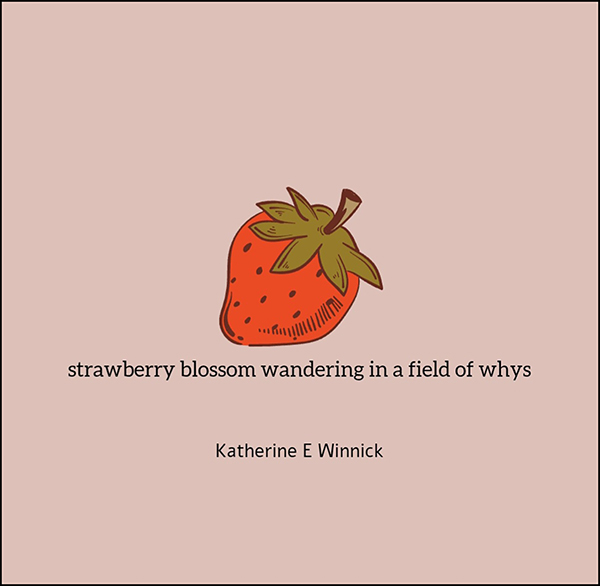 'strawberry blossom wandering in a field of whys' by Katherine Winnick