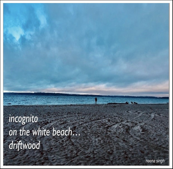 'incognito / on the white beach... / driftwood' by Neena Singh