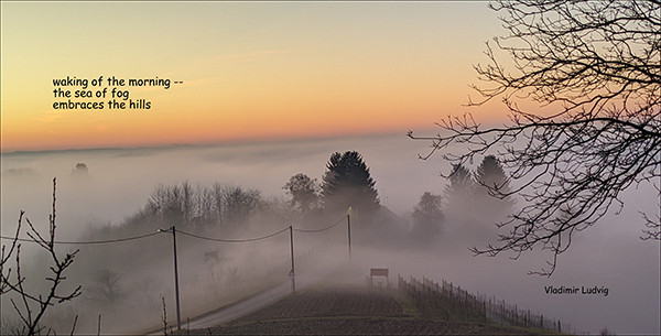 'waking of the morning— / the sea of fog / embraces the hills' by Vladimir Ludvig