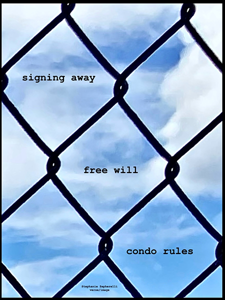 'signing away / free will / condo rules' by Stephanie Zepherelli