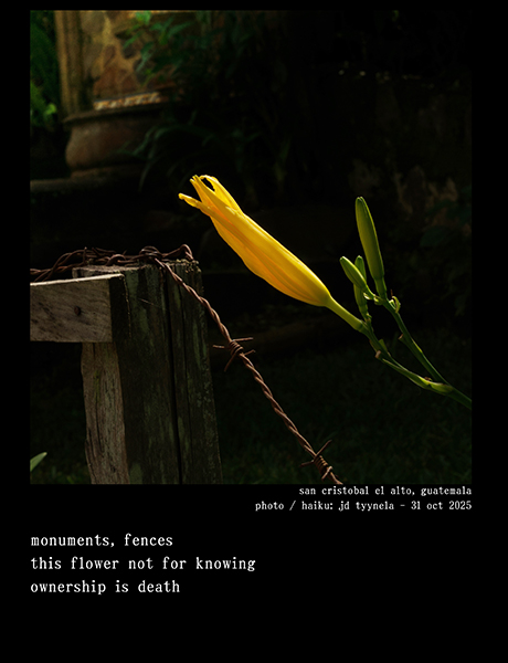 'monuments, fences /  this flower not for knowing / ownership is death' by JD Tyynela