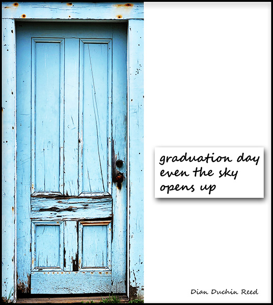 'graduation day / even the sky / opens up' by Dian Reed