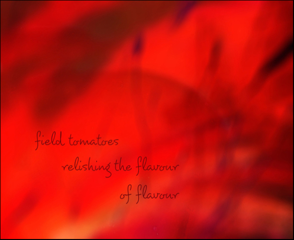 'field tomatoes / relishing the flavour / of flavour' by Maxianne Berger