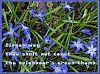 'finger-wag / thou shalt not covet / thy neighbour's green thumb' by Maxianne Berger