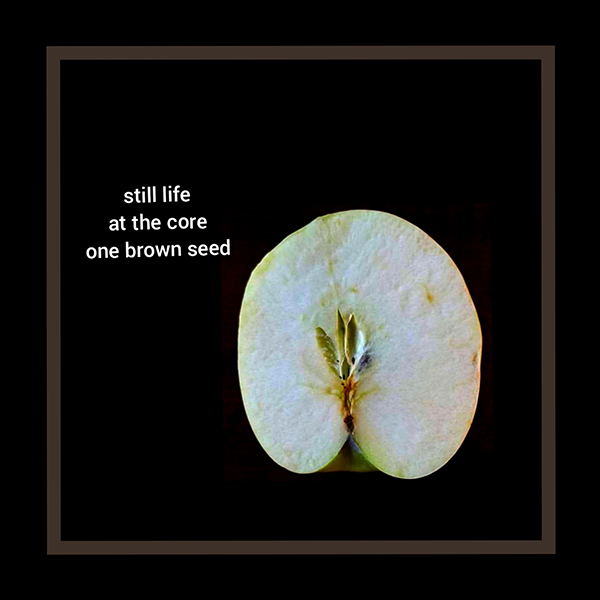 'still life / at the core / one brown seed' by Louise Viera. Art by Barbara de Coursey Roy