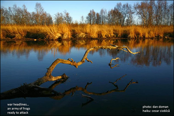 'war headlines... / an army of frogs / ready to attack' by Caesar Ciobica. Art by Dan Doman